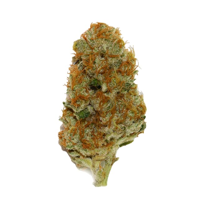 Cream Caramel