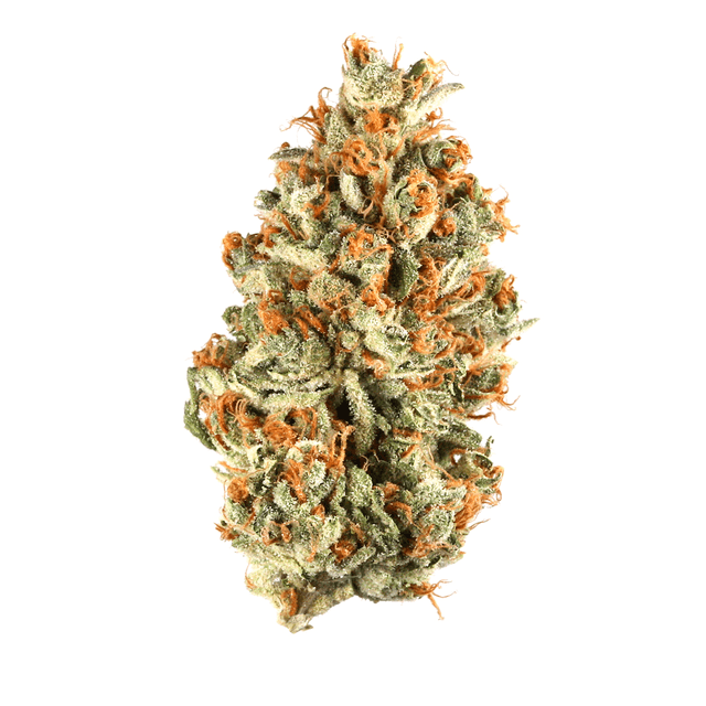Cheese Candy