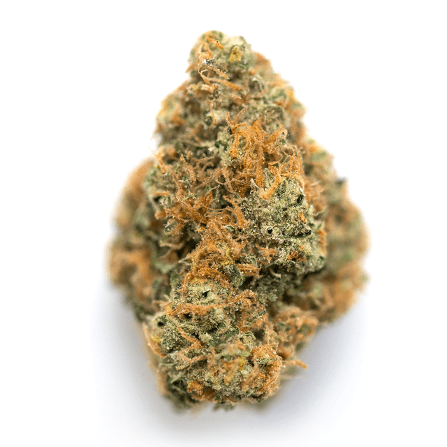 Orange Ghost