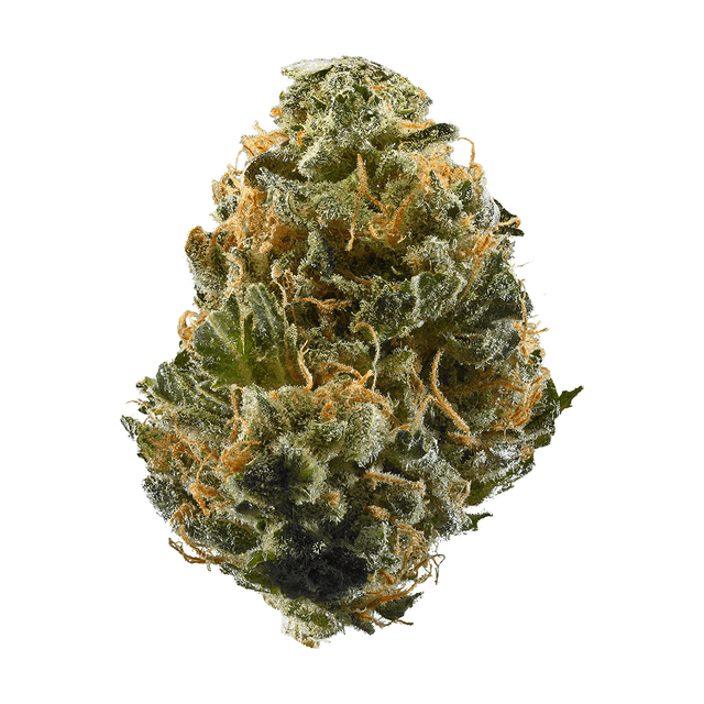 Boysenberry Marihuana Strain Information Spliffmeister