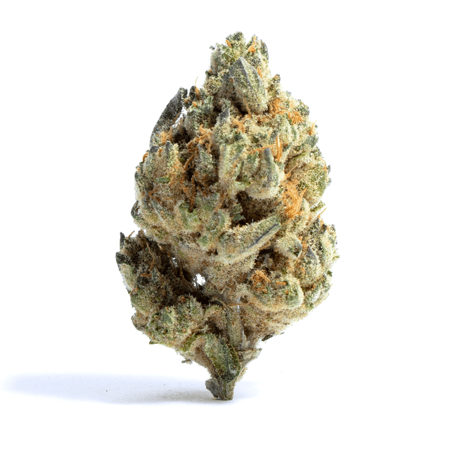 Blue Monster