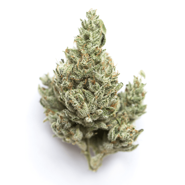 Lime OG