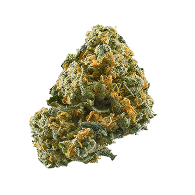 Sour Mango
