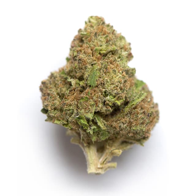 Blue Diesel