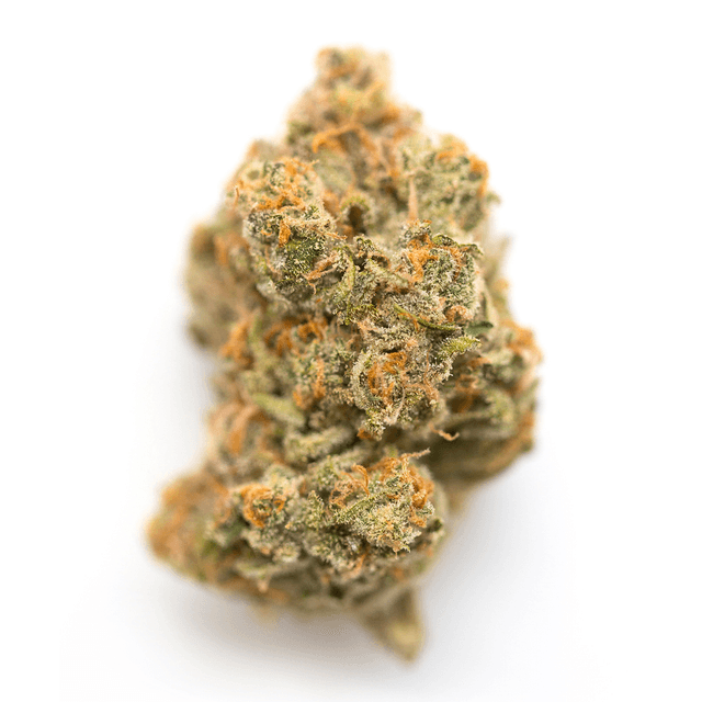 Cream Soda