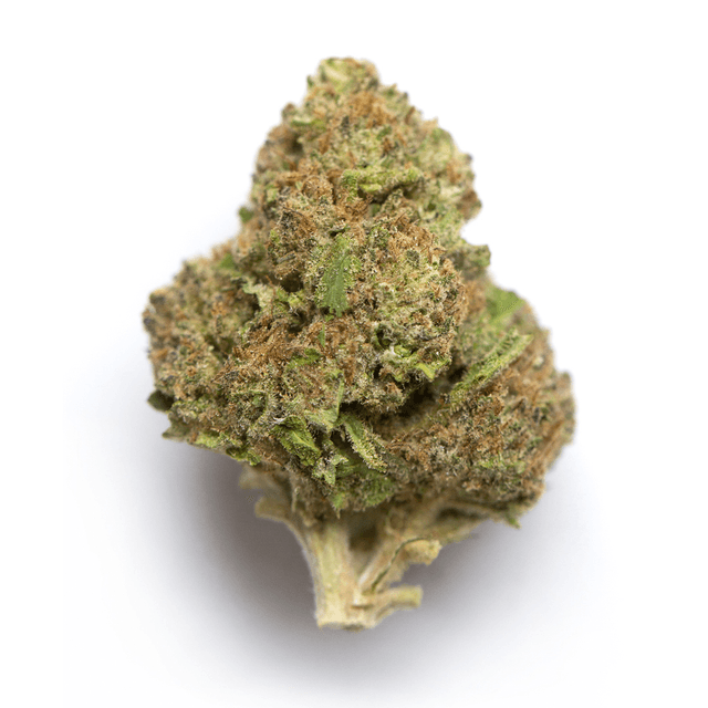 Cannadential