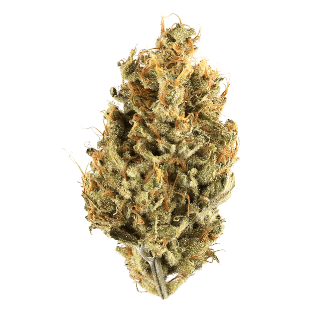 Frosted Kush