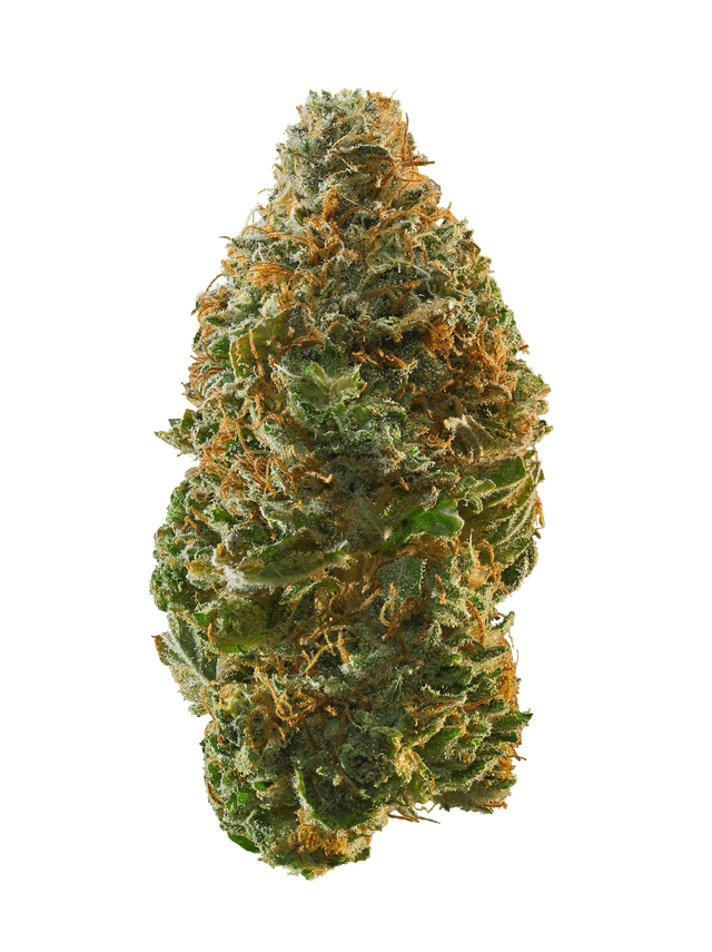 Tropical Gelato