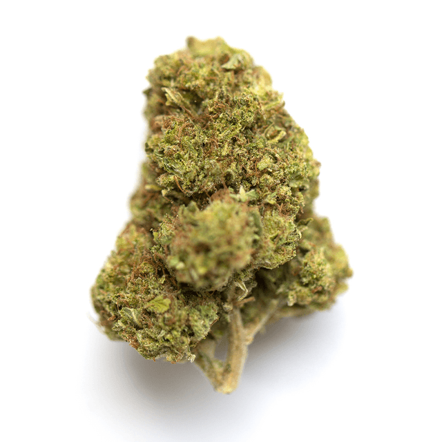 Vanilla Gorilla