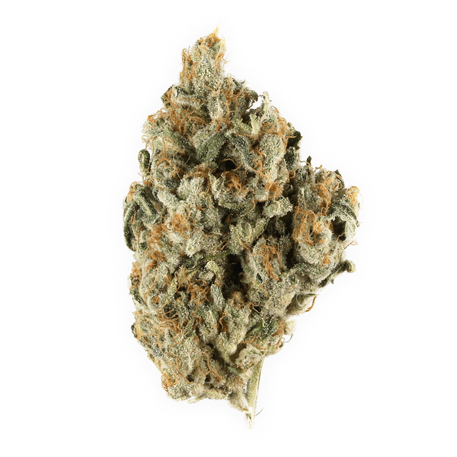 Chocolate Kush