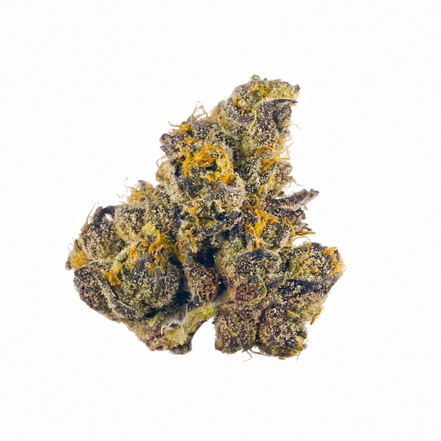 Purple Dragon