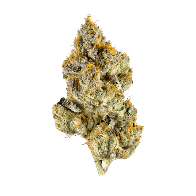 Galactic Jack