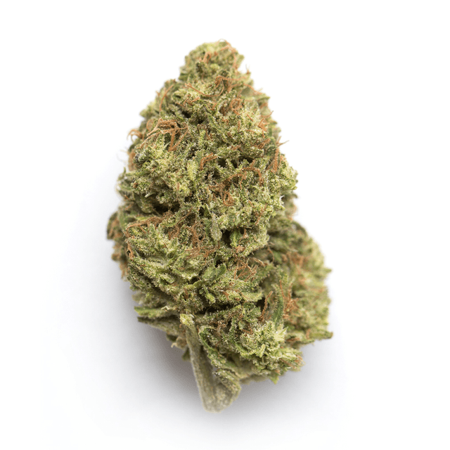 Gelato Runtz