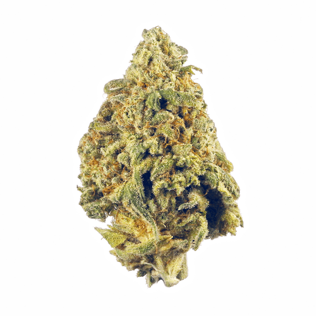 Jungle Fruit