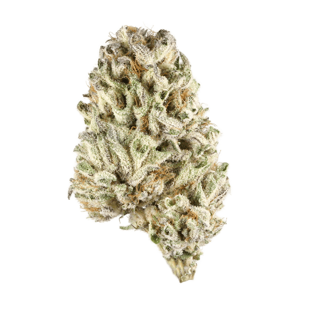 Quebec Gold