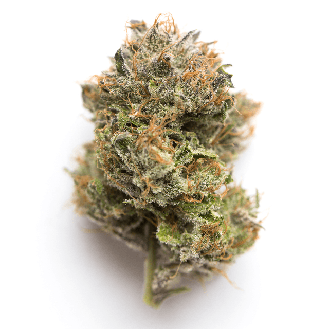 Double Purple Doja