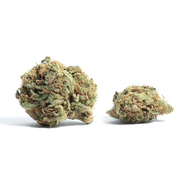 Santa Cruz OG
