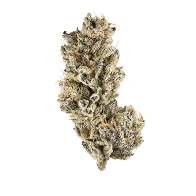 Purple Berry